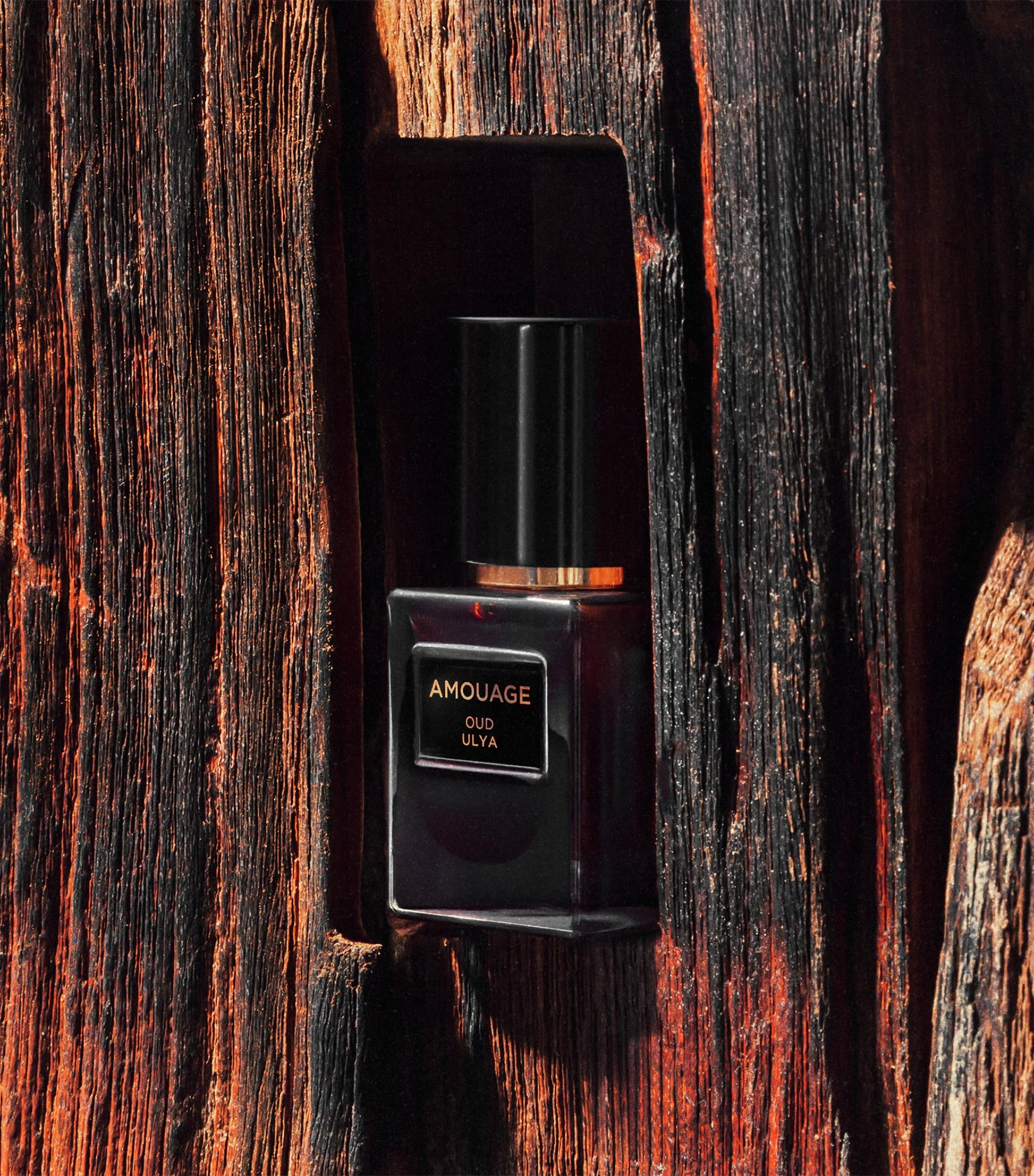 Oud Ulya Perfume Oil (12ml)