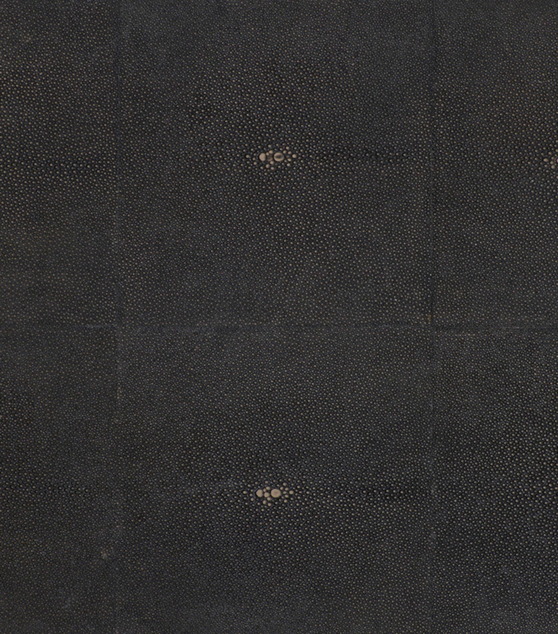 Faux Shagreen Grand Placemat