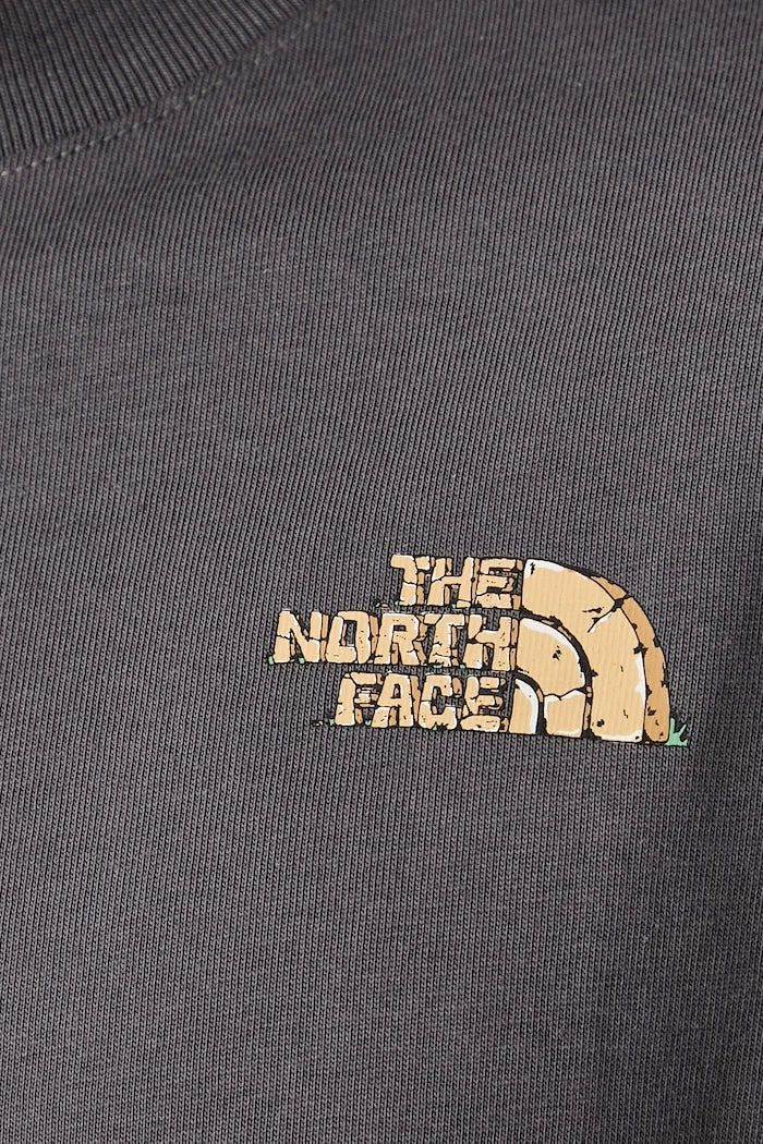 The North Face erkek pamuklu tişört Relaxed