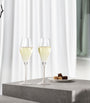 Villeroy & Boch Set of 4 Manufacture Rock Blanc Champagne Glasses (290ml)