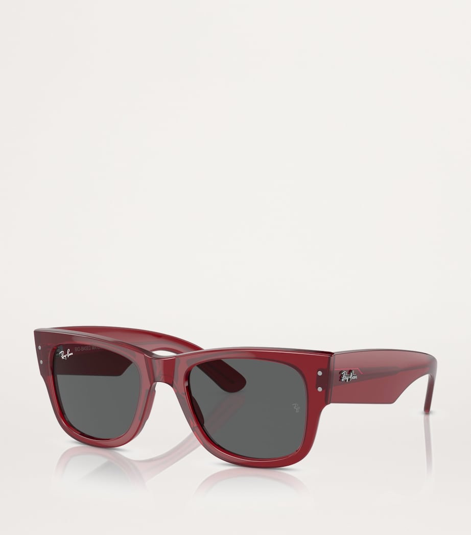 Ray-Ban Red Propionate 0RB0840S Sunglasses