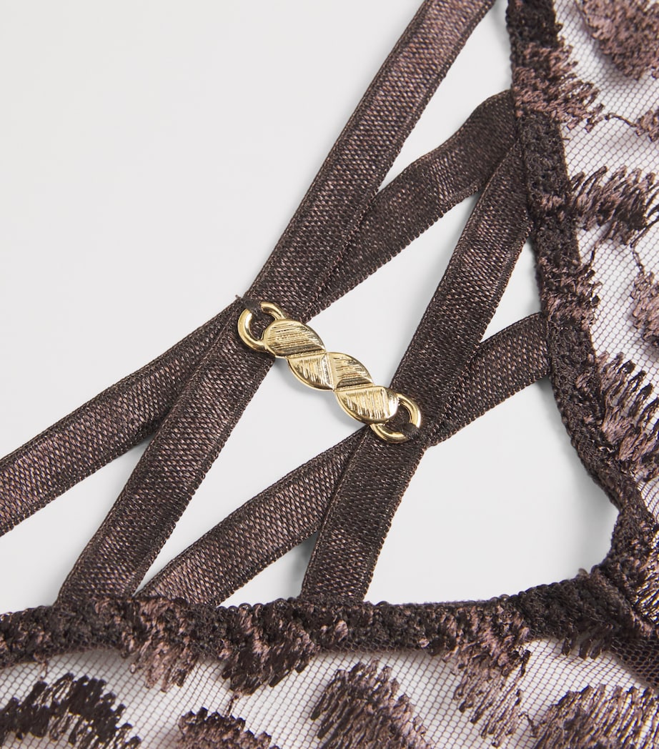 Aubade Brown Crazy in Love Briefs