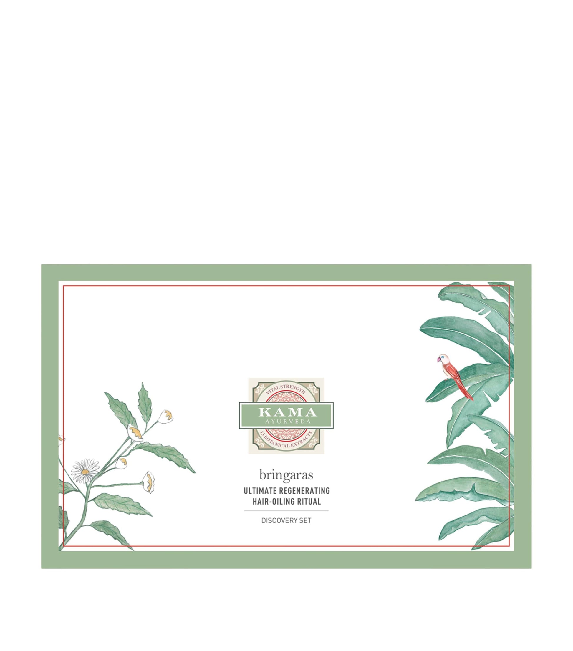 Bringaras Discovery Set