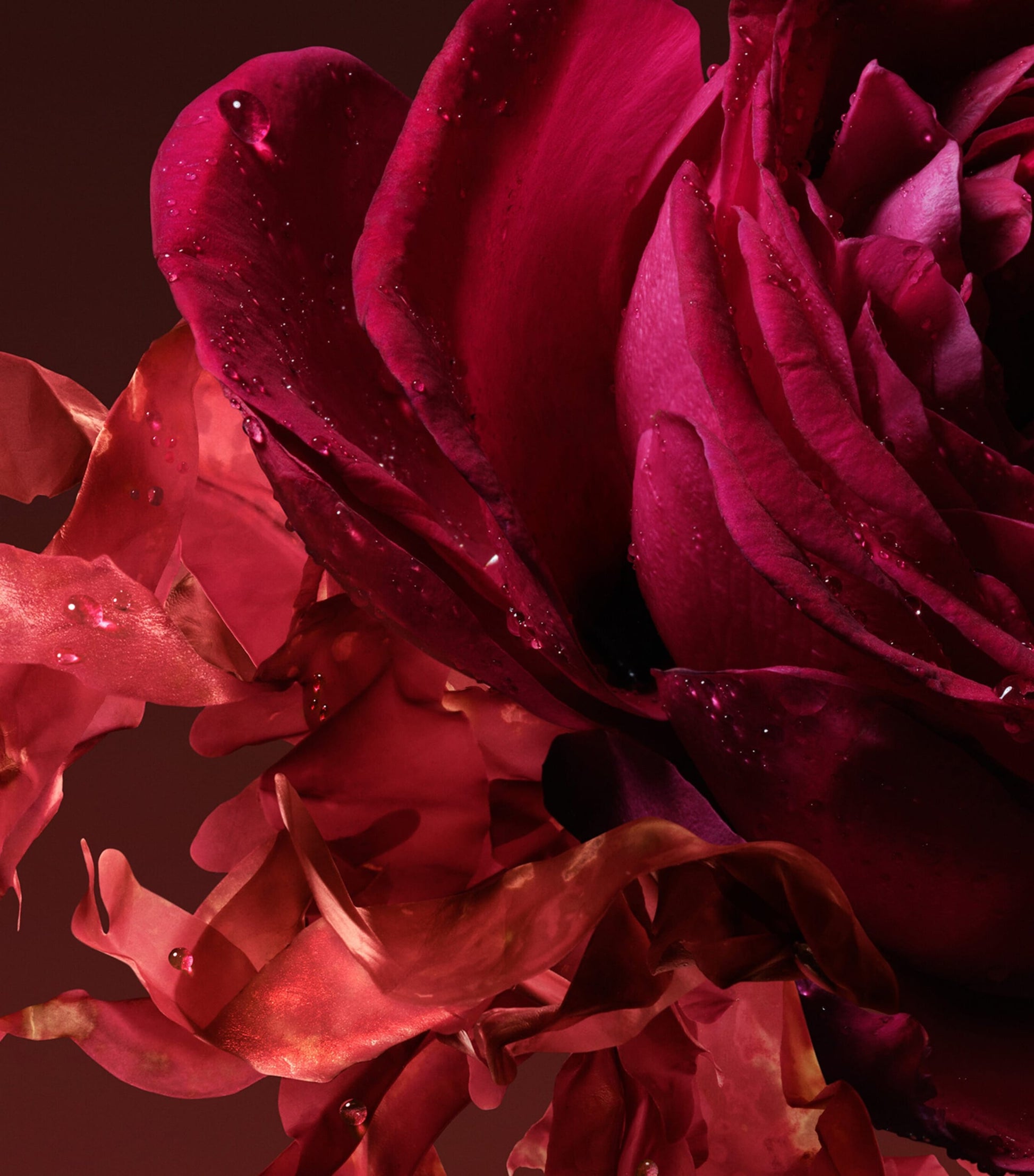 Gucci The Alchemist’s Garden Rosa Incandescente Eau de Parfum (100ml)