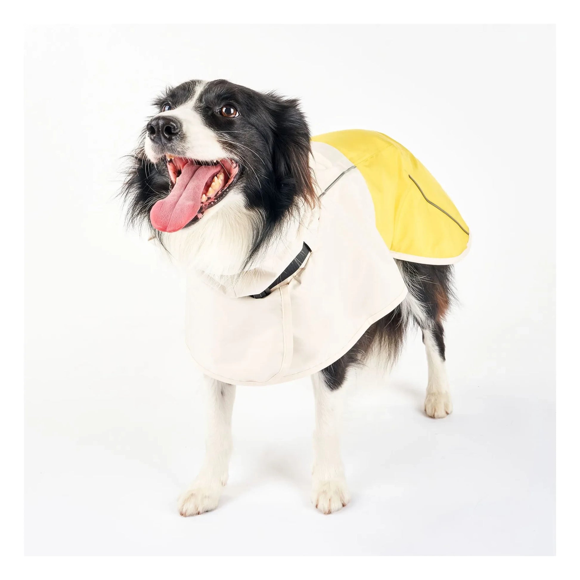 The Furry Folks - Venture rain coat | Yellow