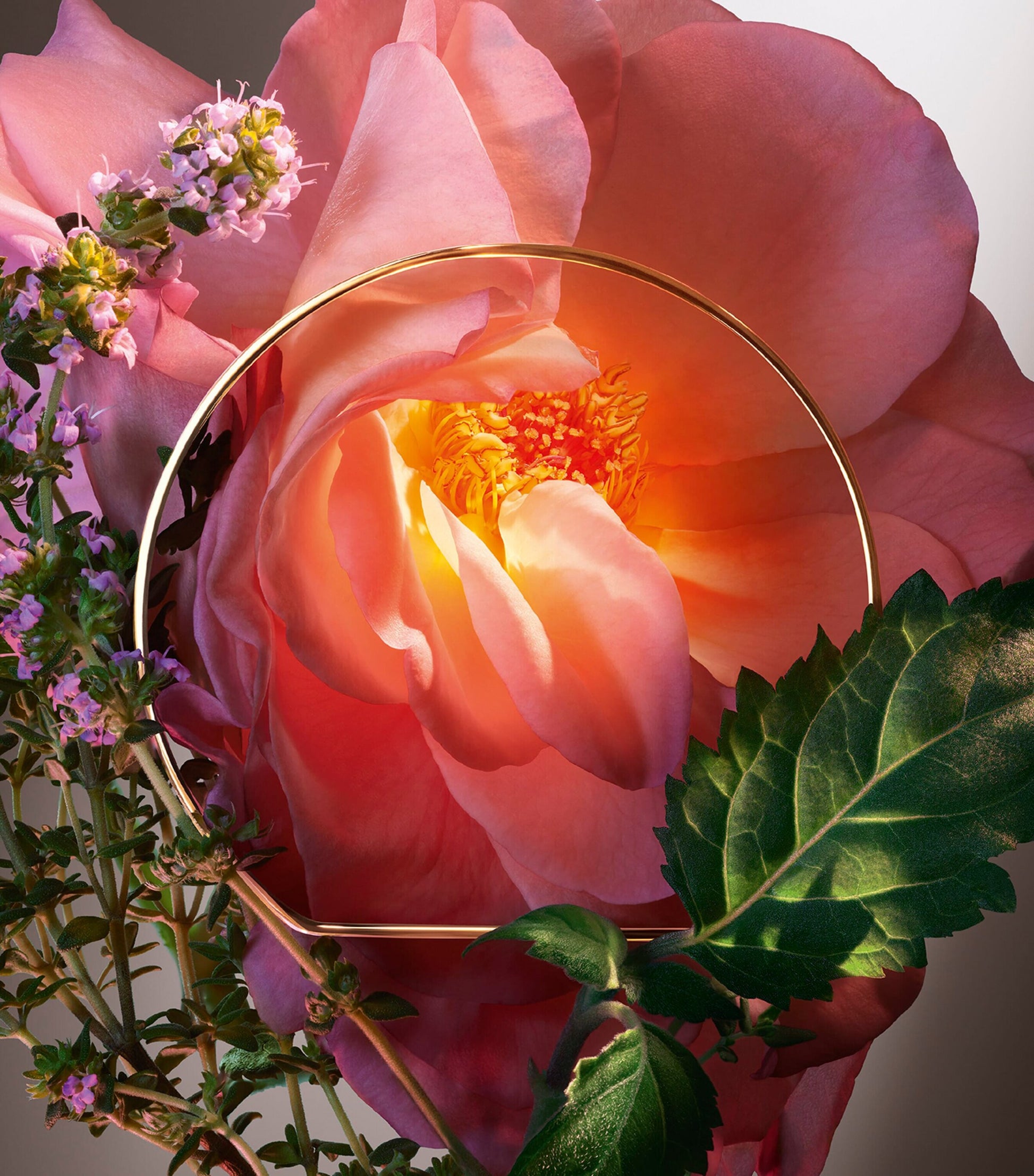 Absolue Hot As Rose Eau de Parfum (100ml)