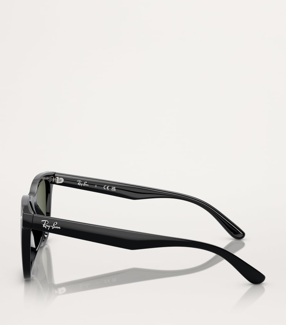 Injected RB4420 Sunglasses