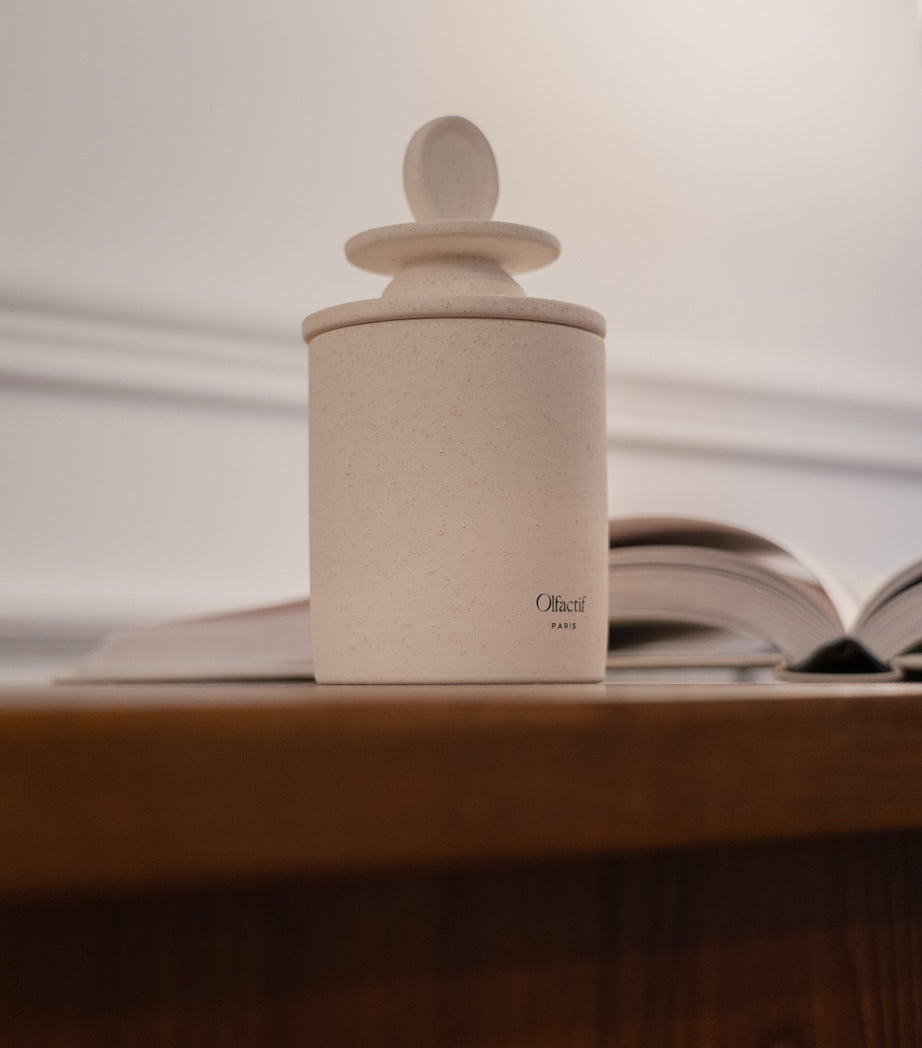 Olfactif Gemini Wild Berries Candle (240g)