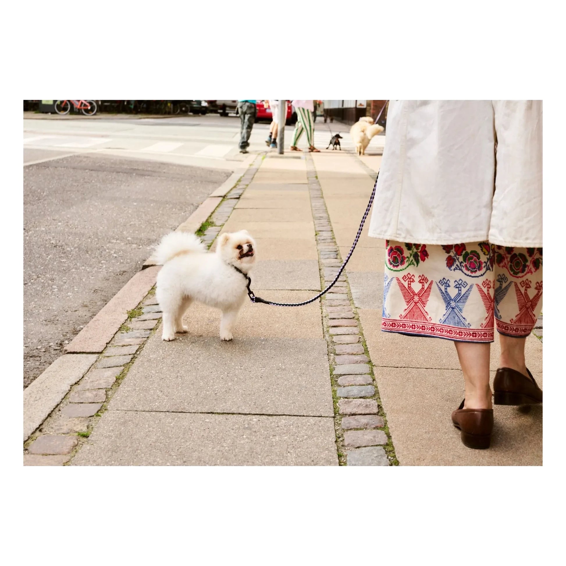 Hay - Adjustable lead | Lavender