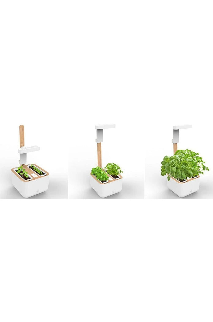 Veritable - Botaneo Eylo Otomatik Ev Bahçesi