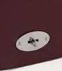 Mulberry Red Small Darley Cross-Body Bag