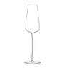 Set of 2 Wine Culture Champagne Flutes (330ml)