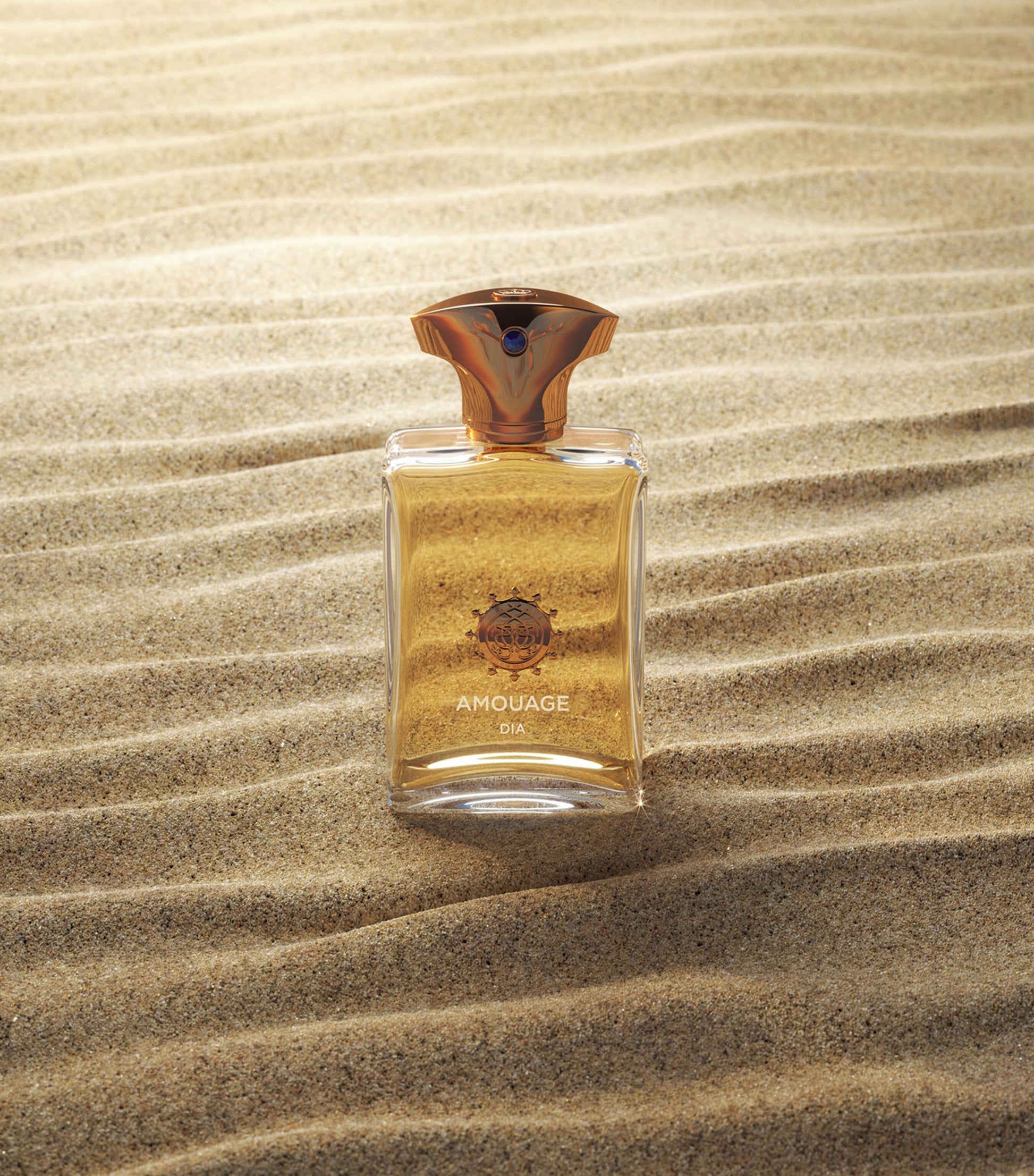 Dia Man Eau de Parfum (100ml)