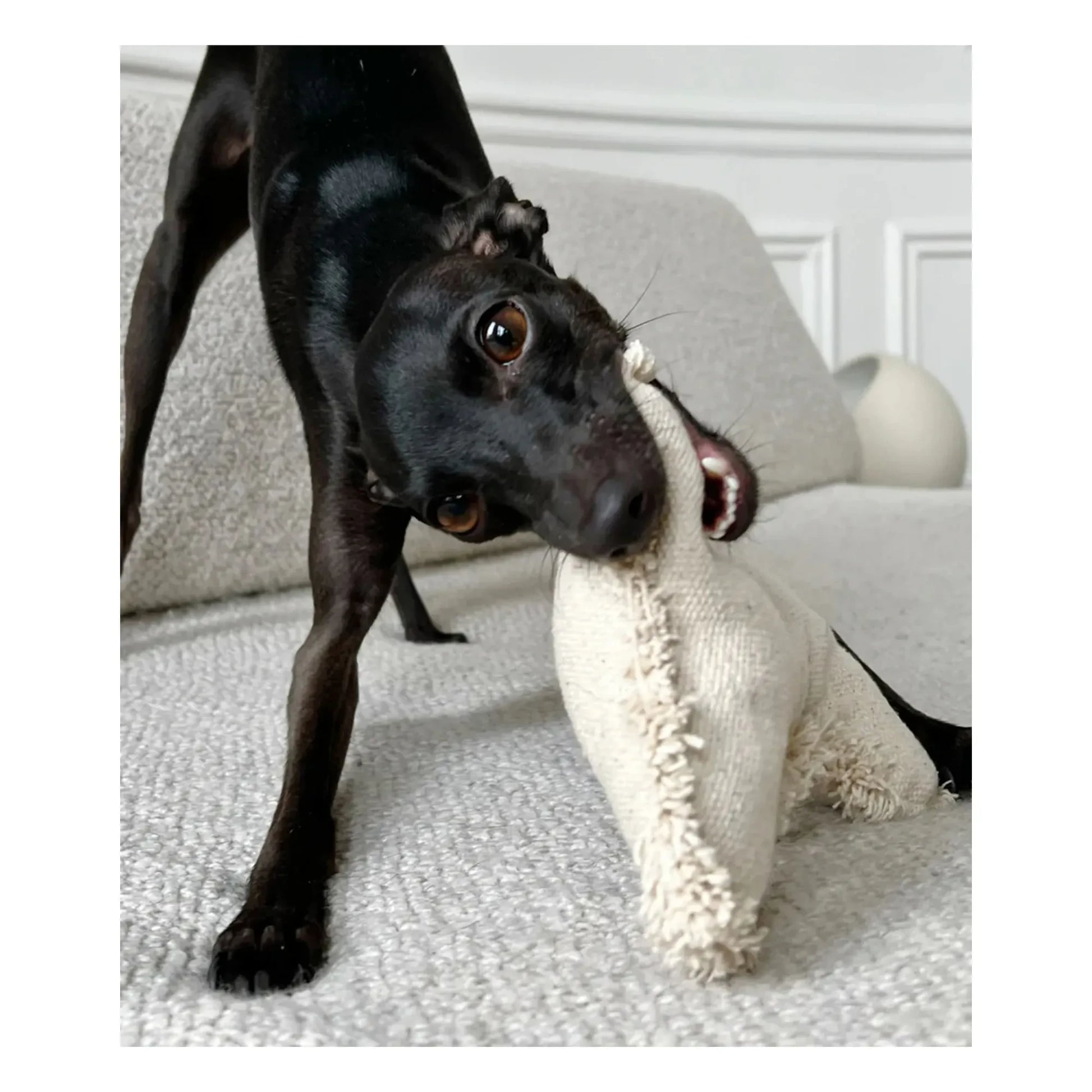 Cafide - Bone dog toy | Off-White