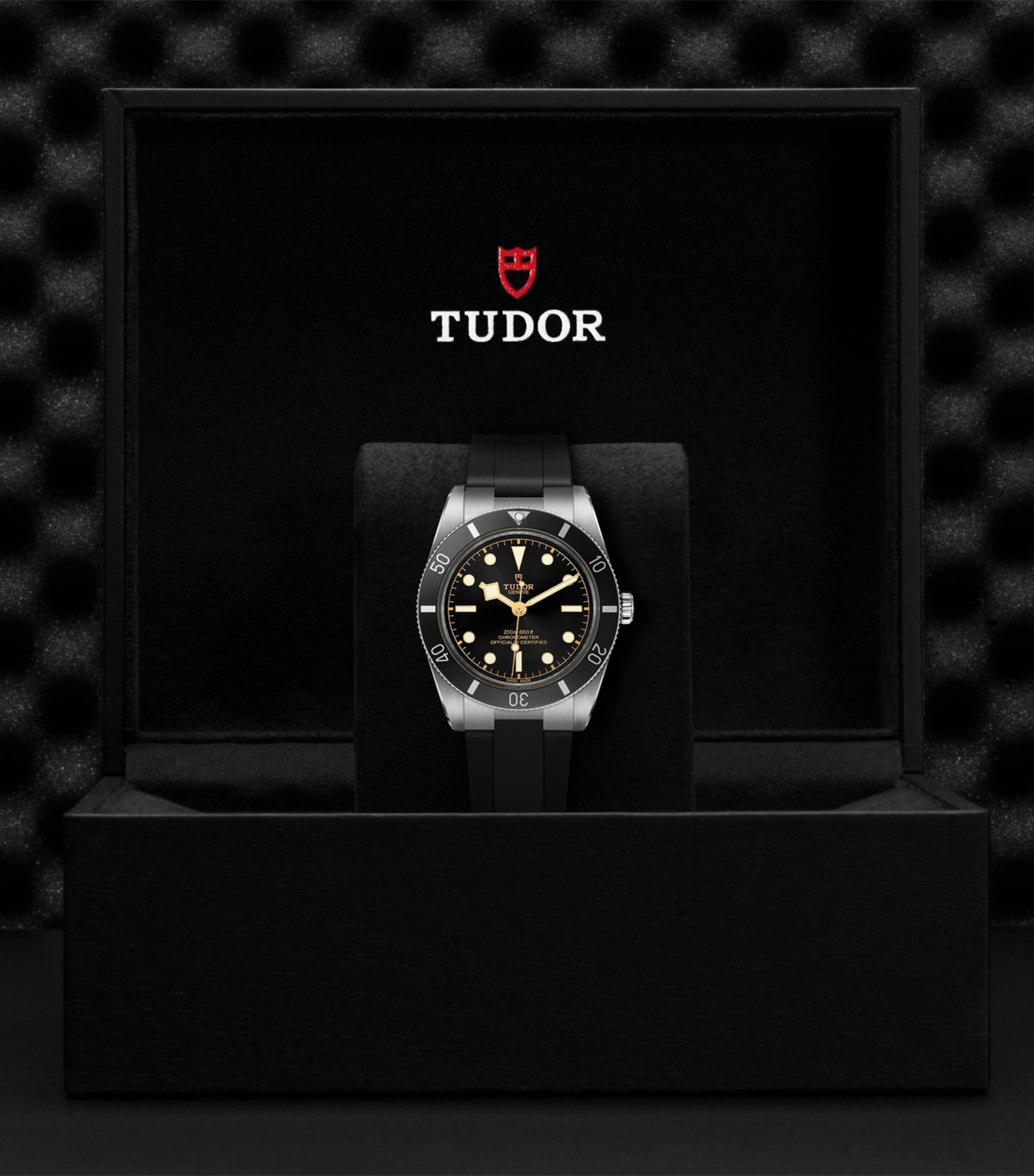 TUDOR Black Bay Stainless Steel Watch 37mm
