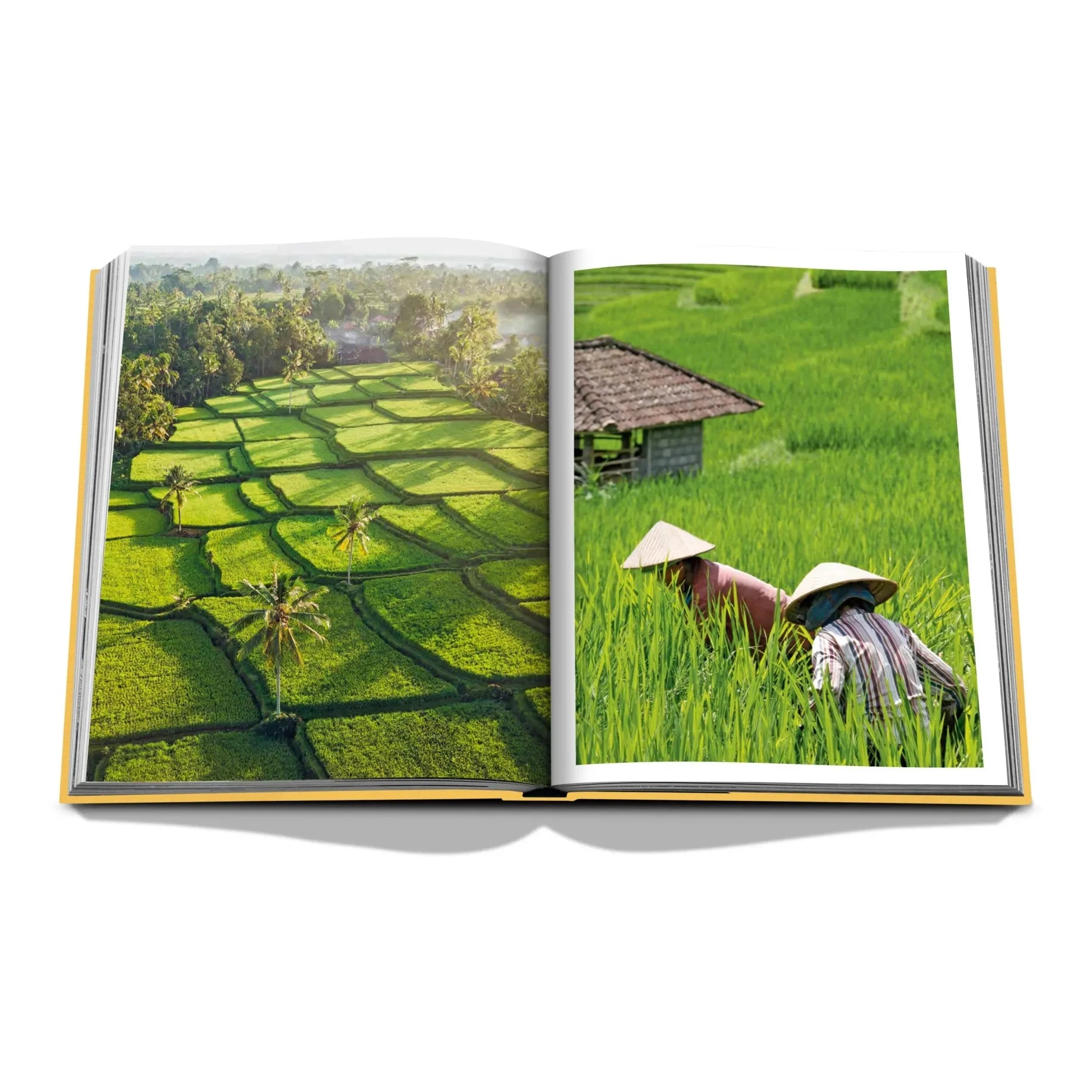 Assouline - Mystical Bali
