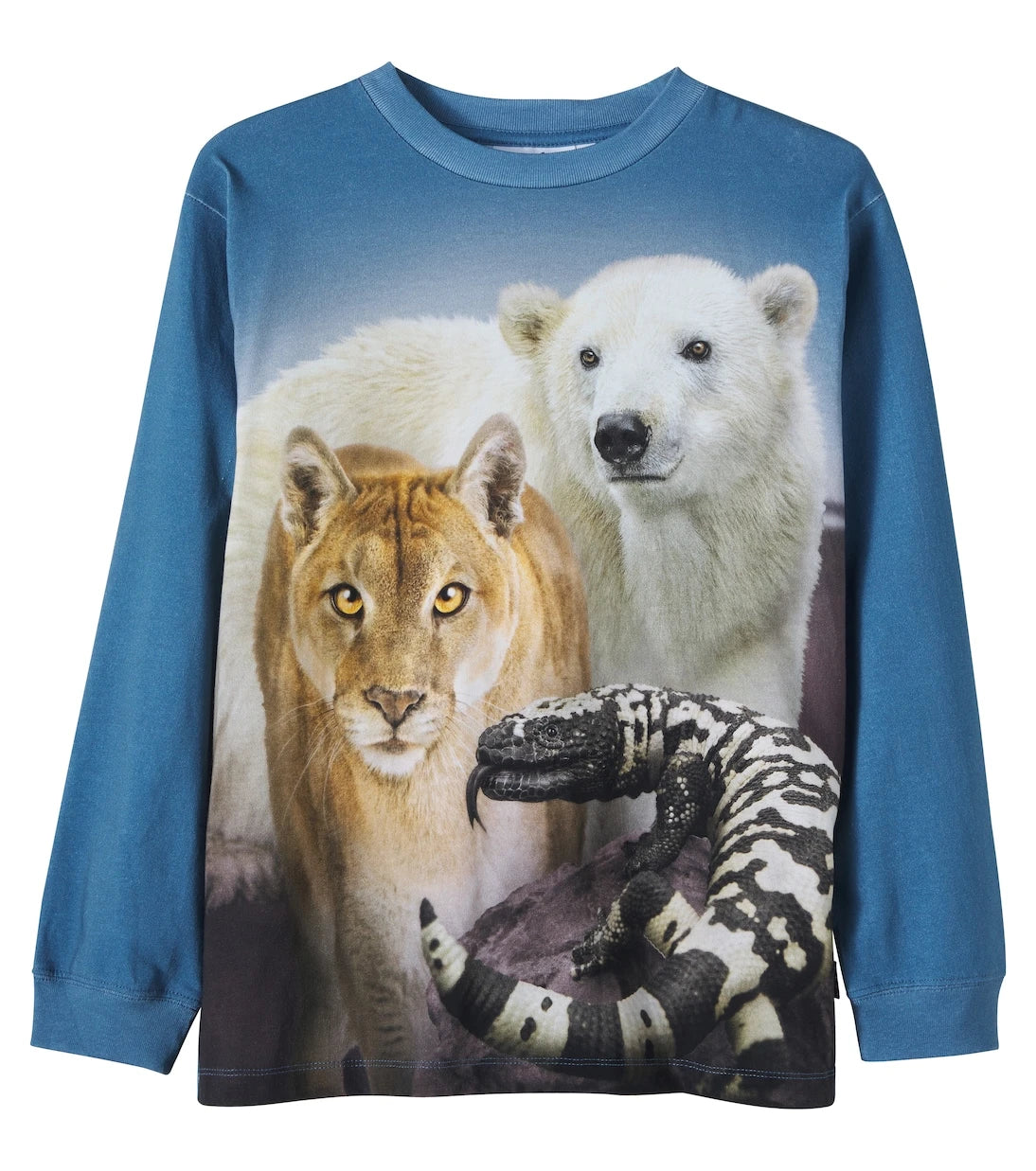 Molo - Rube cotton jersey T-shirt