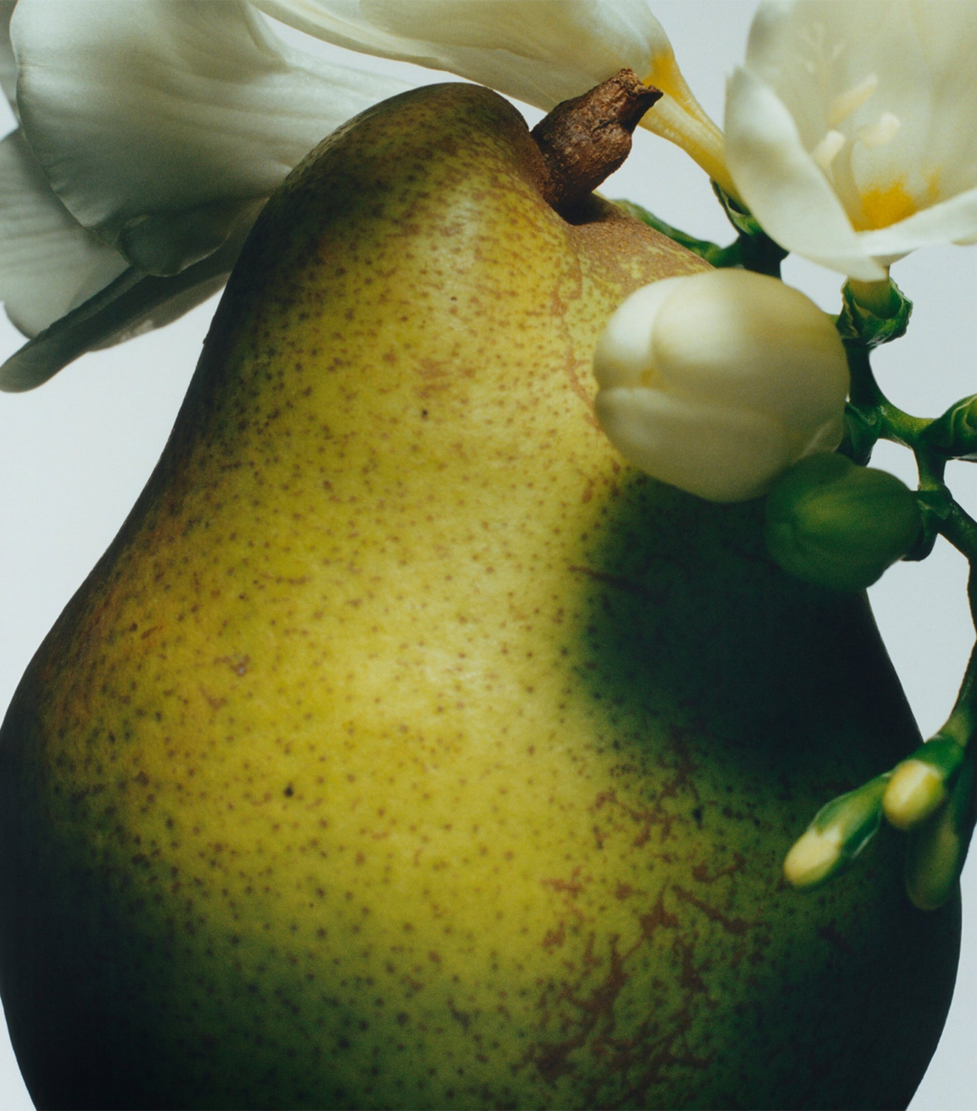 Jo Malone London English Pear & Freesia Cologne