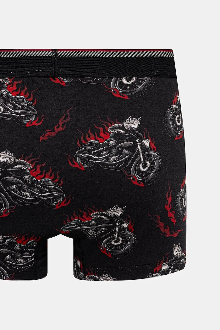Medicine Boxer (2'li)