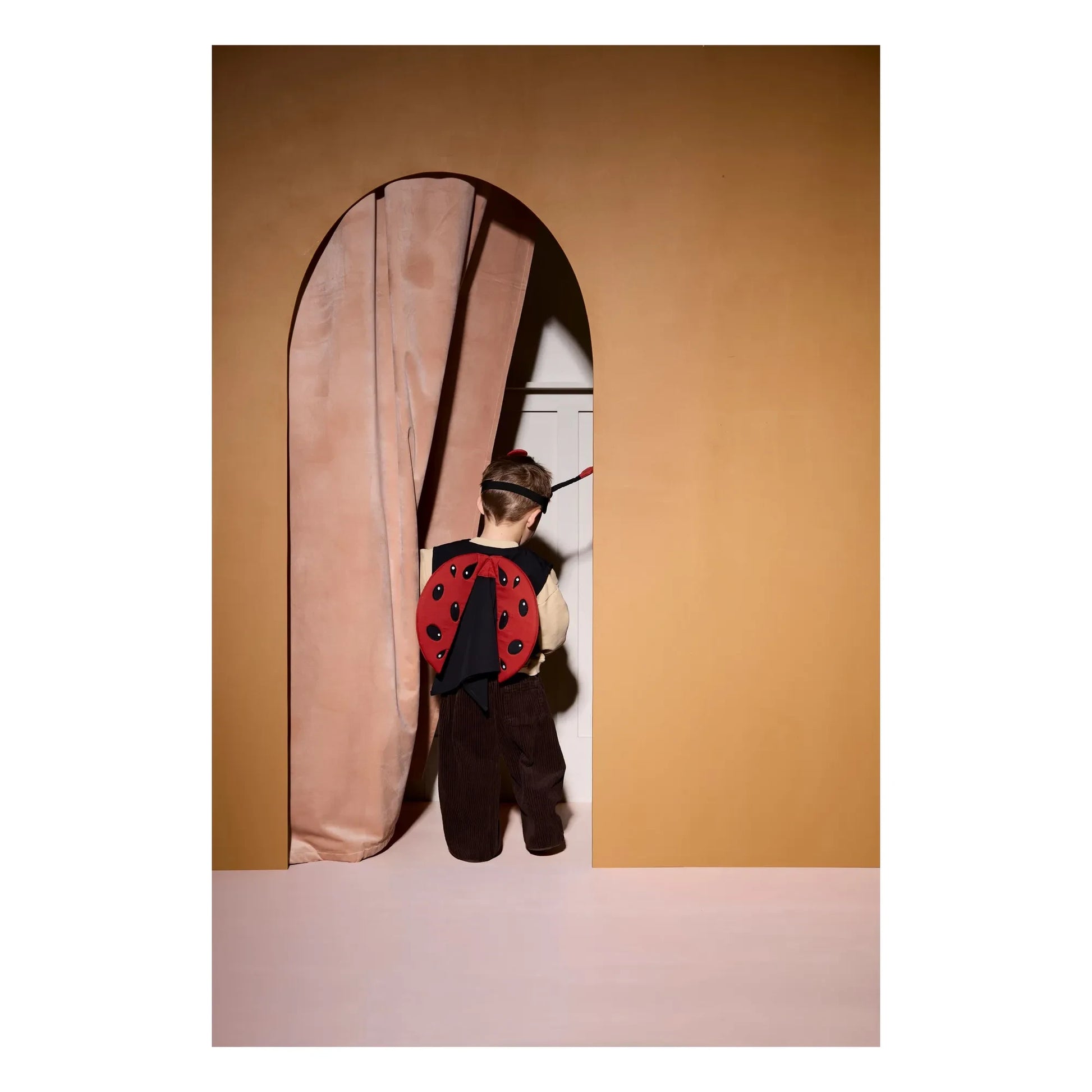 Kid's Concept - Ladybug disguise