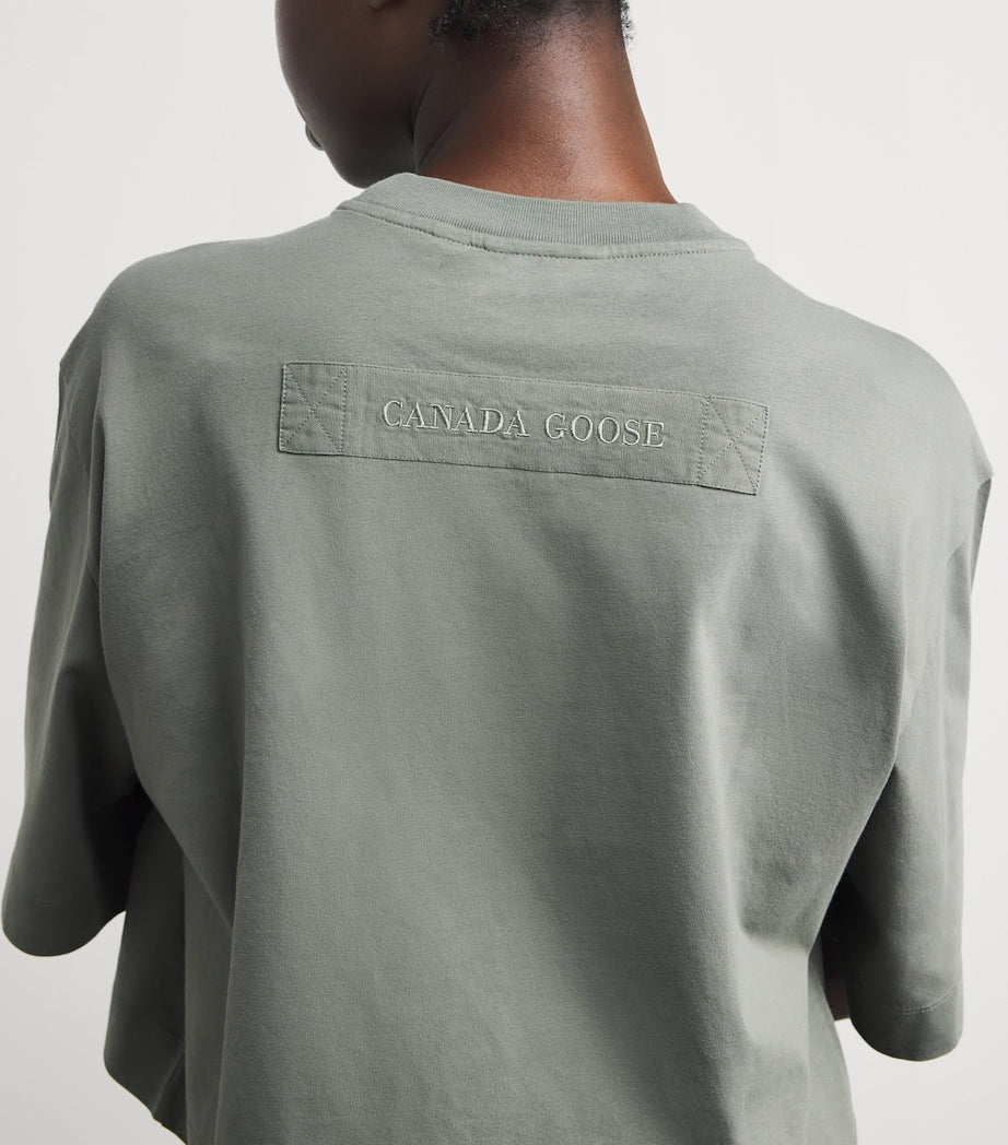 Cotton Addison Crop Top SAGEBRUSH