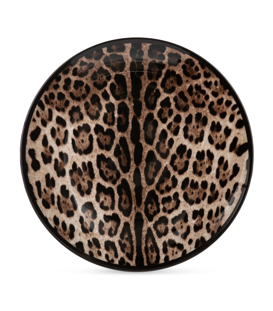 Dolce & Gabbana Casa Set of Two Leopard Print Dinner Plates (26cm)