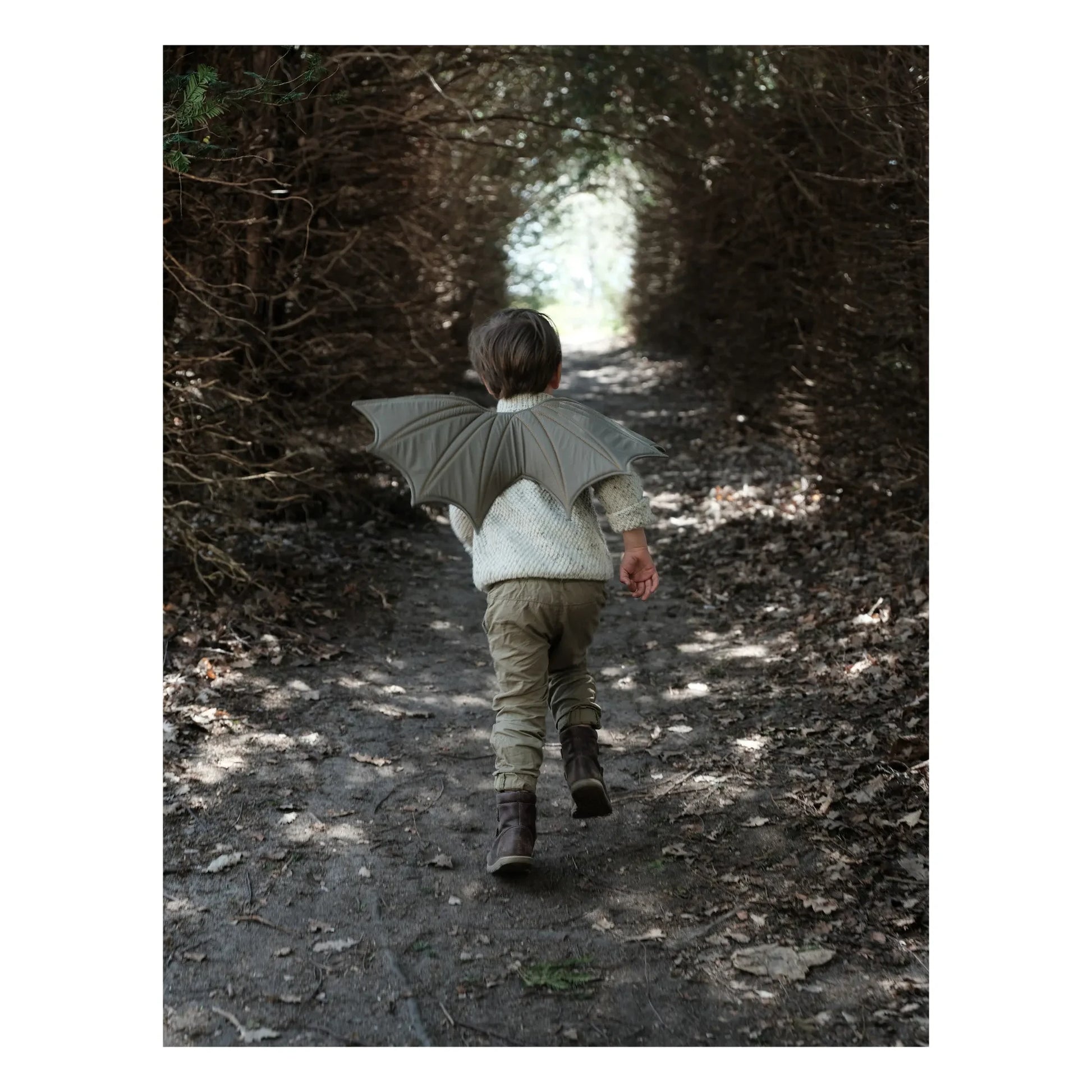 Fabelab - Dragon Wings Costume | Grey