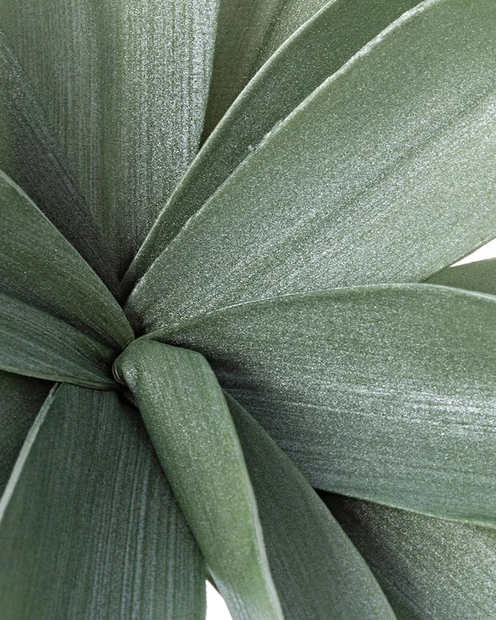 Изкуствено растение Bizzotto Green Ferox