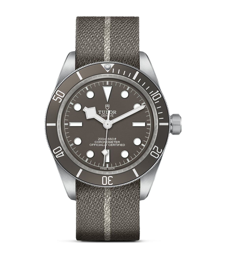 TUDOR Black Bay Fifty-Eight Silver Watch 39mm