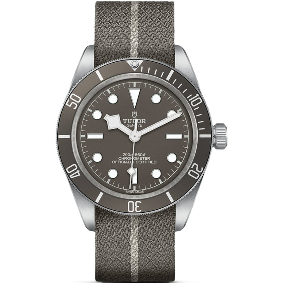 TUDOR Black Bay Fifty-Eight Silver Watch 39mm