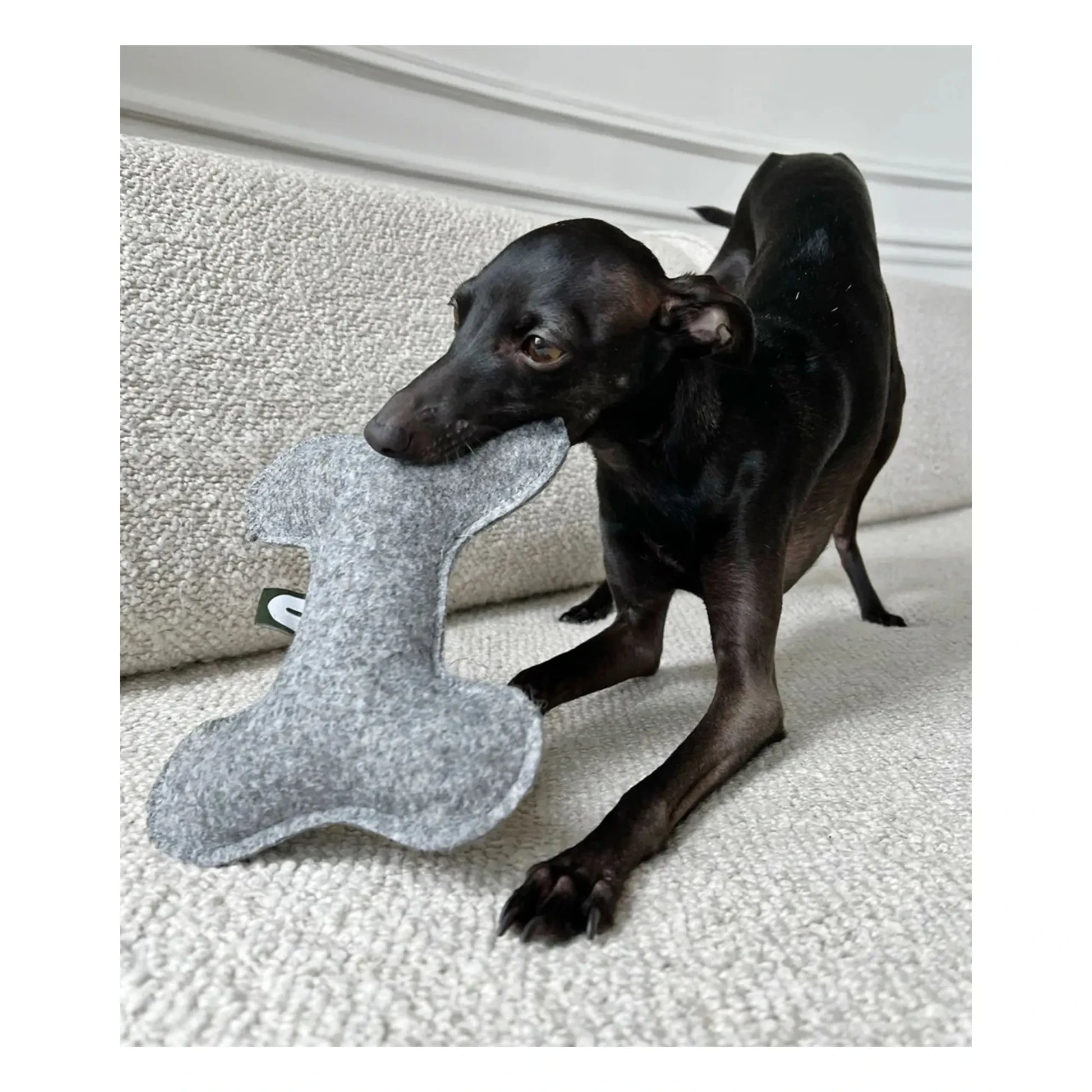 Cafide - Bone dog toy | Grey