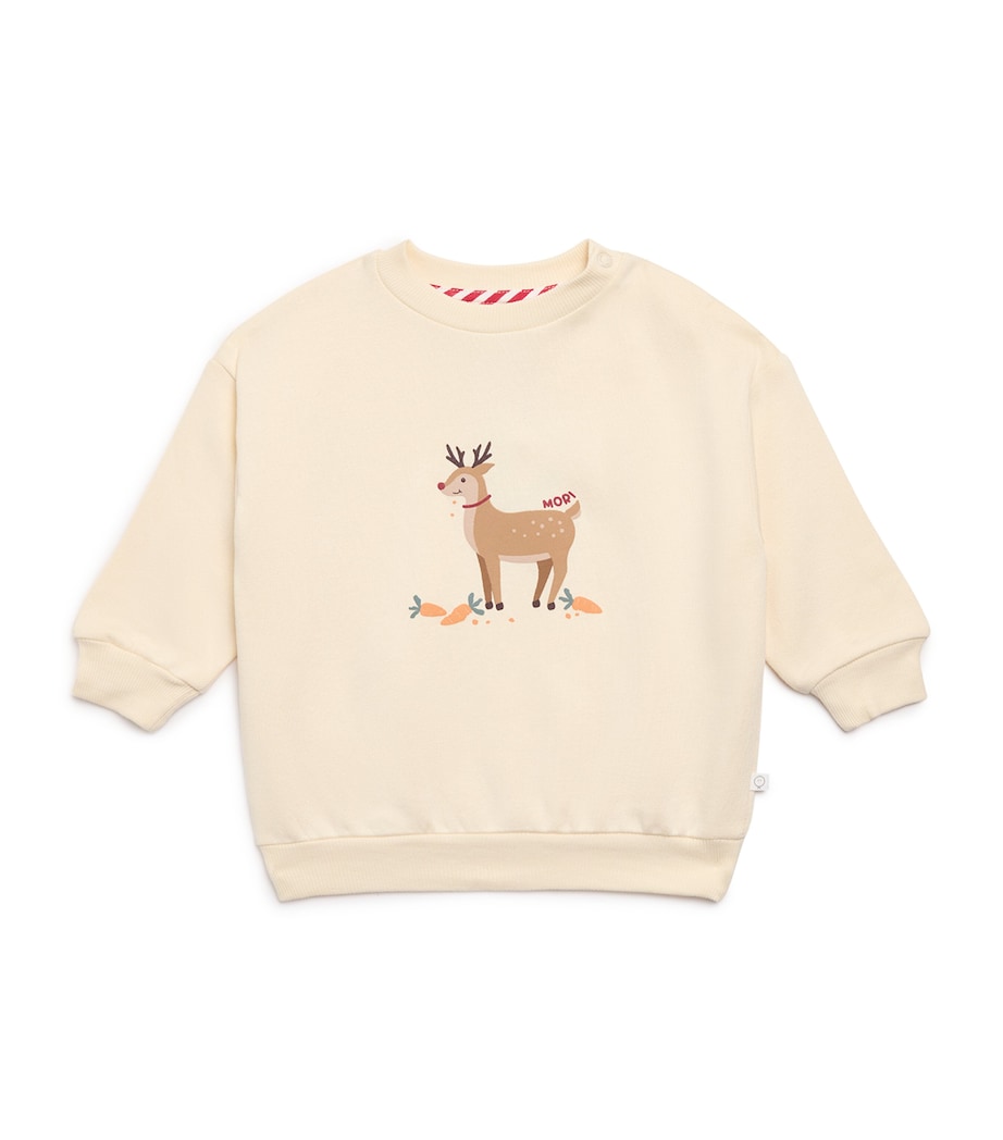 Reindeer Print Sweater (3-36 Months)
