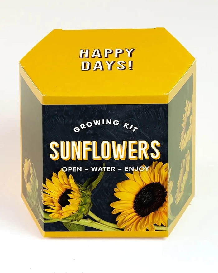 Комплект за отглеждане на растения RESETEA Sunflower Growing Kit 9,8 x 8,8 x 8,8 cm