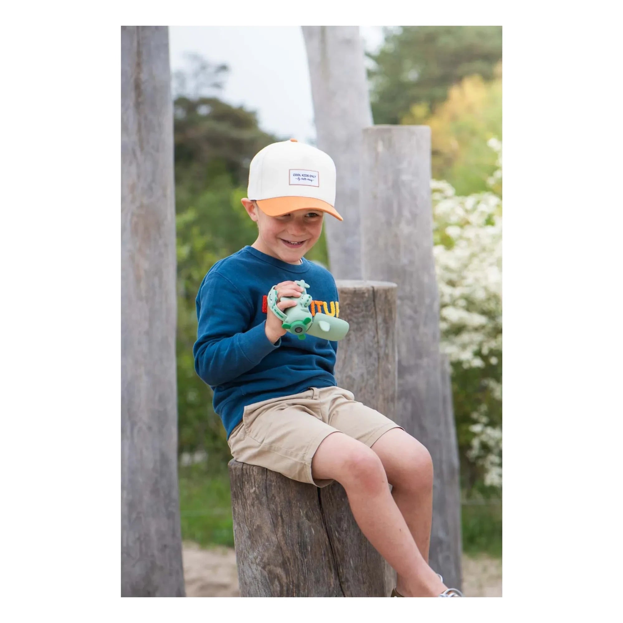 The Zoofamily - Zoo video camera - Dino