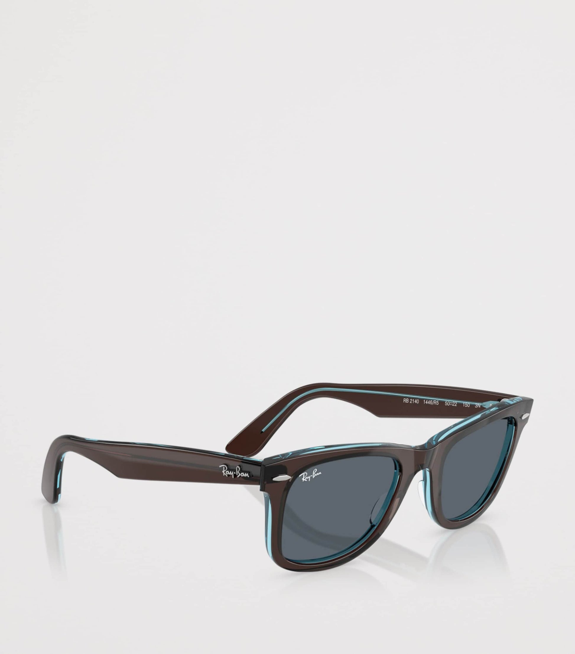 Acetate Wayfarer Sunglasses