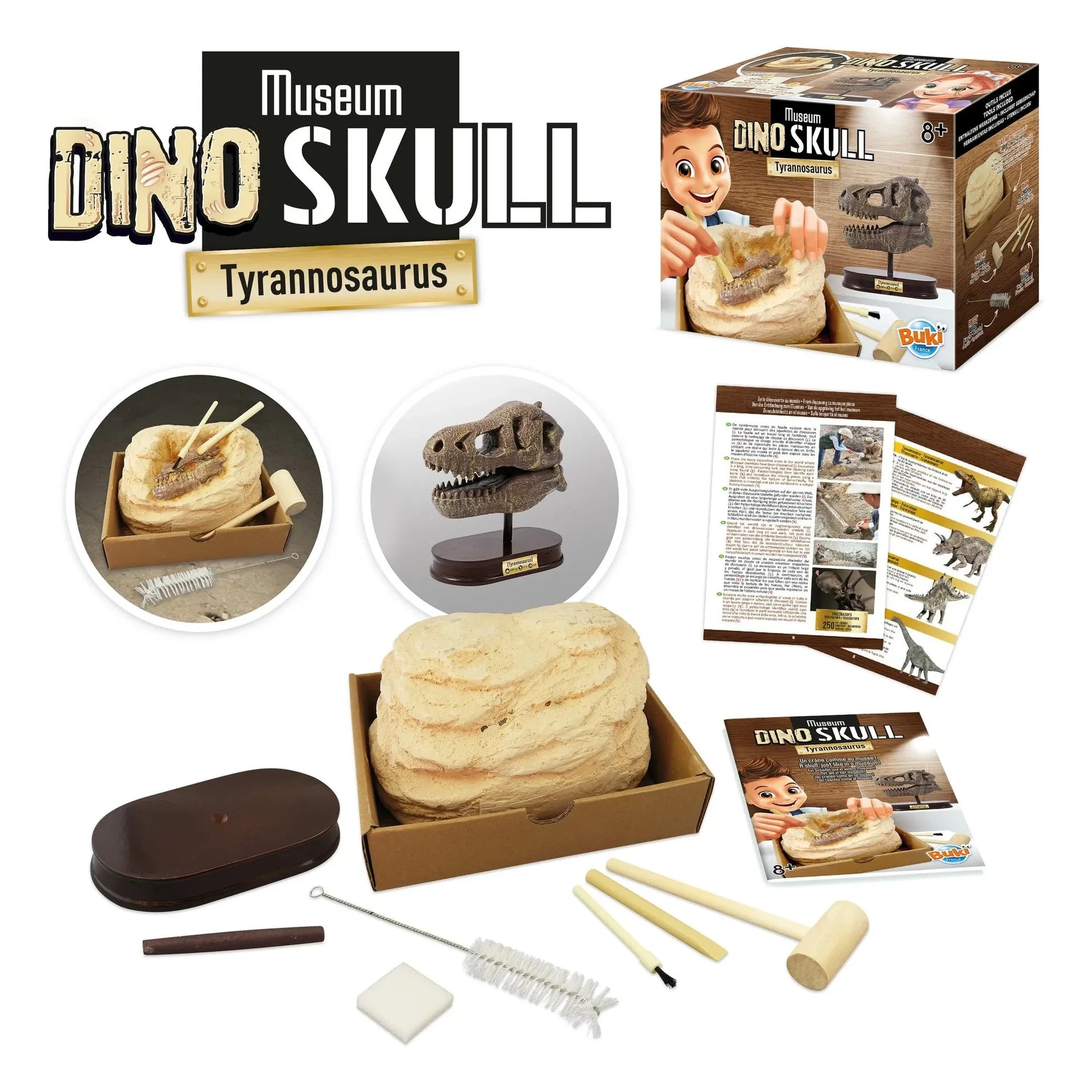 Buki - Archaeology set - Museum Dino Skull