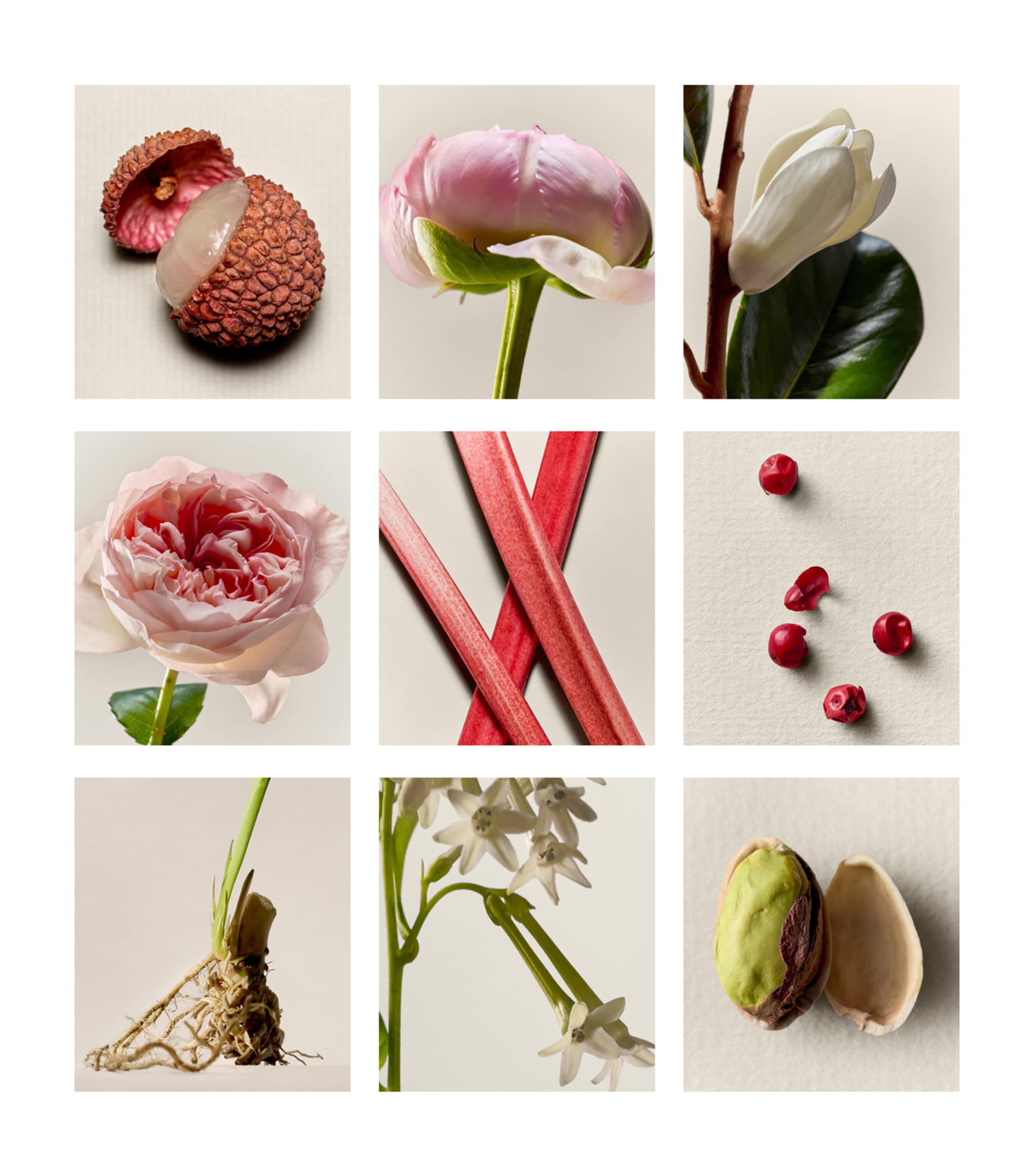 Proem Eau de Parfum (50ml)