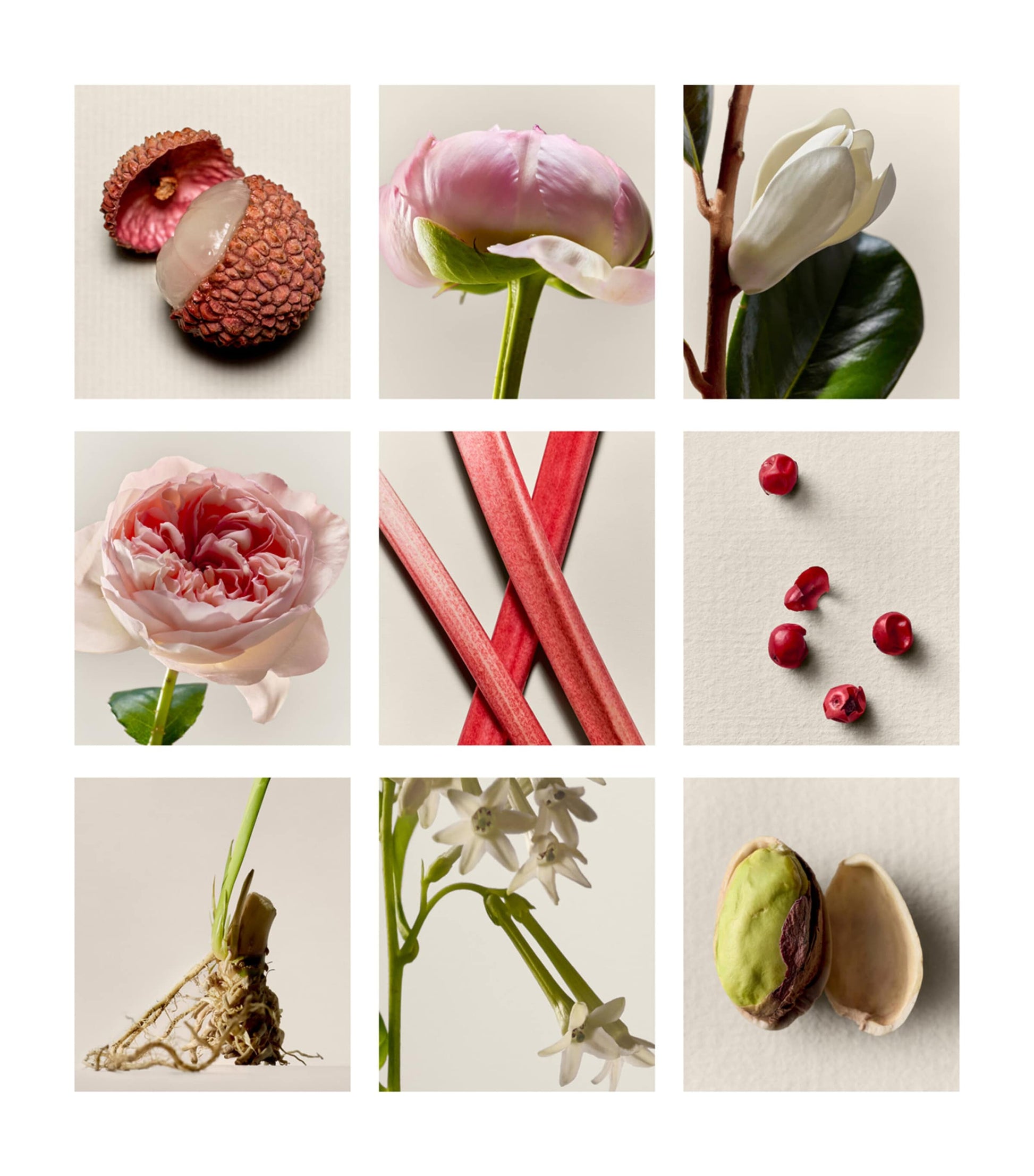 Proem Eau de Parfum (50ml)