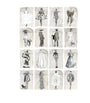 Cole & Son x Harrods Interior Design 175 Anniversary Edition Couture Carousel Window Wallpaper - Monochrome Pearl