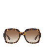 Brown Injected 0GC002057 Sunglasses