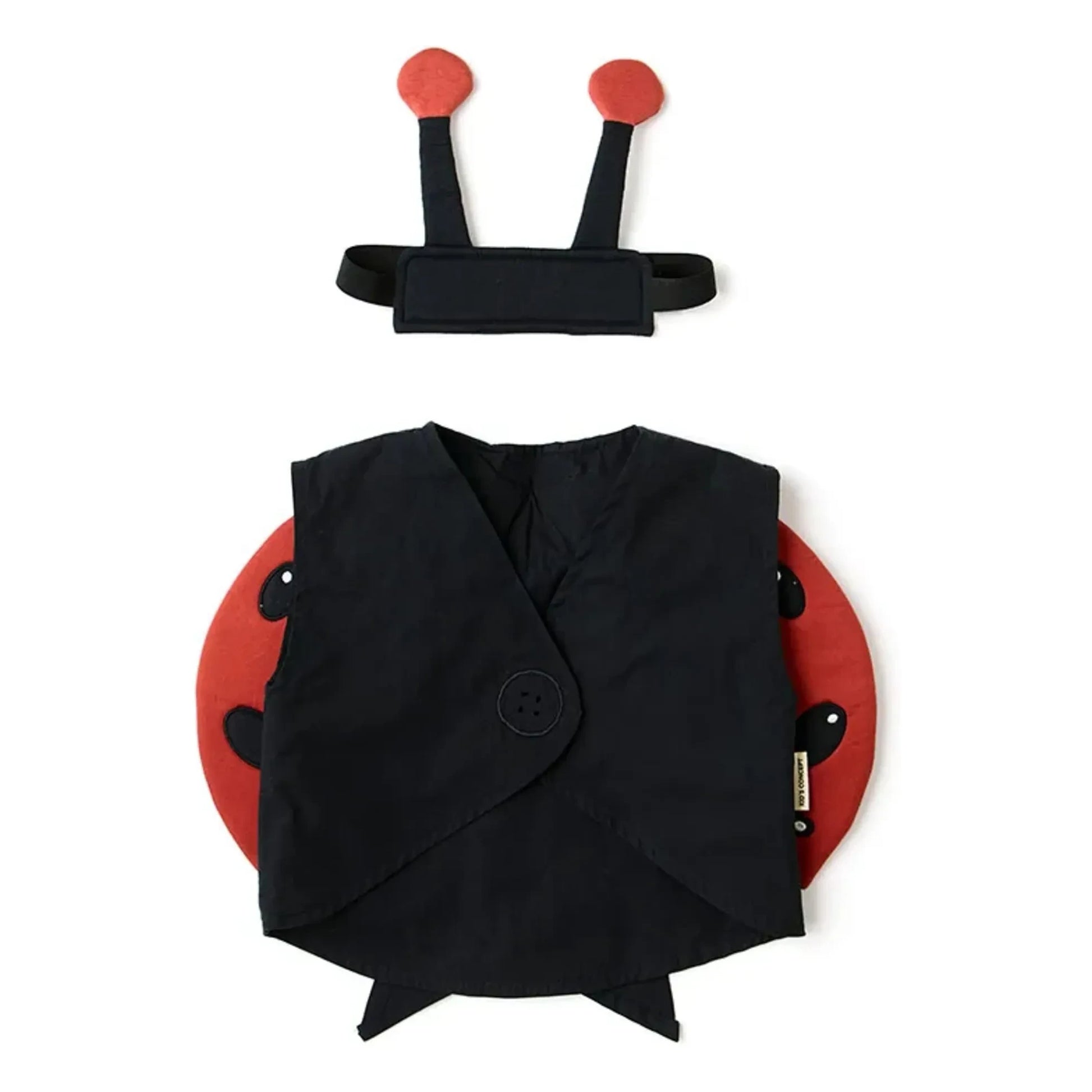 Kid's Concept - Ladybug disguise