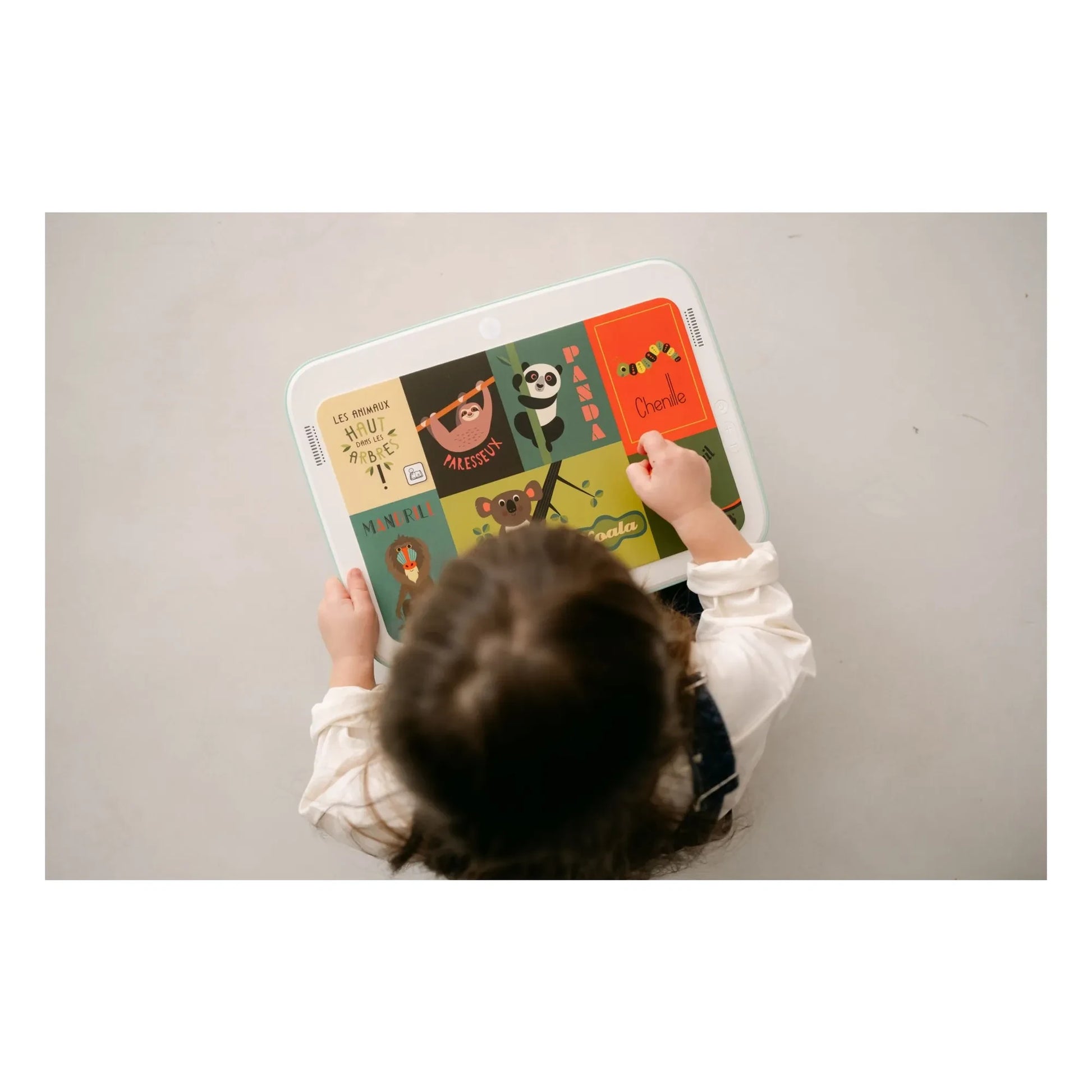 Bugali - Set of 5 Zoom! cards