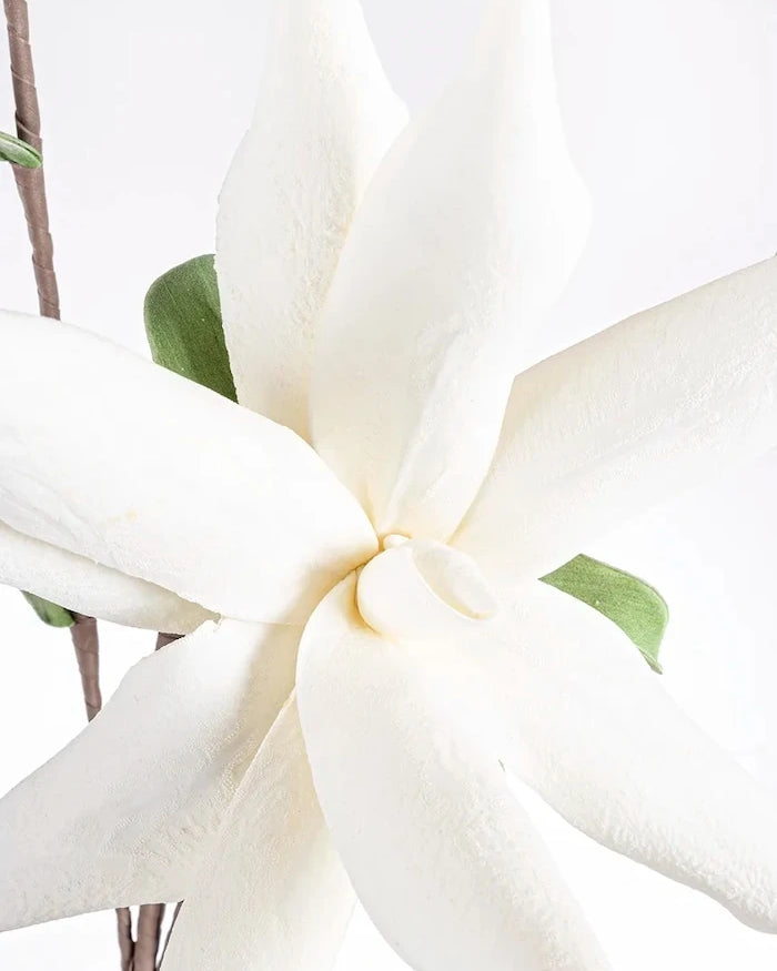 Bizzotto White Aloe Chinesis Yapay Çiçek