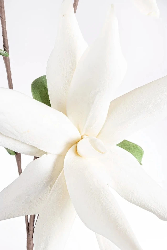 Bizzotto White Aloe Chinesis Yapay Çiçek