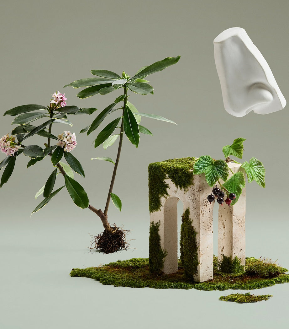 Daphne Bouquet Eau de Parfum (100ml)