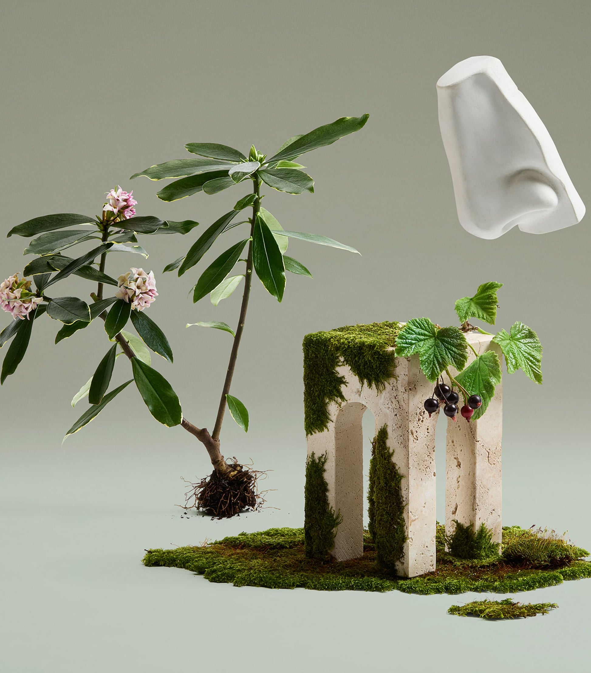 Daphne Bouquet Eau de Parfum (100ml)