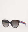 Brown Acetate 0GC001661 Sunglasses