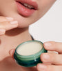 The Lip Balm