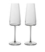 Set of 2 Crystal MetroChic Champagne Flutes (120ml)