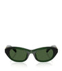 Swarovski Green Propionate SK6036U Sunglasses